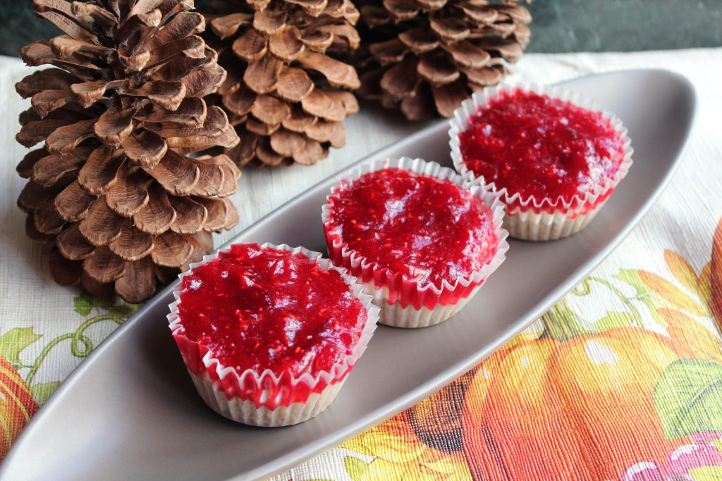 Cran-Raspberry Pretzel Jello